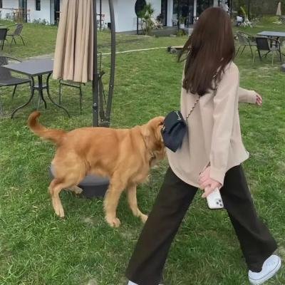 肮脏的战争